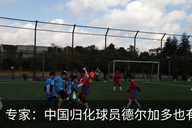 专家：中国归化球员德尔加多也有佛得角血统 其父为佛得角籍